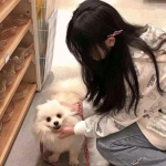 果盘战神崛起手机游戏下载